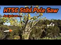 Stihl HT56 Pole Saw - Don t think just get one