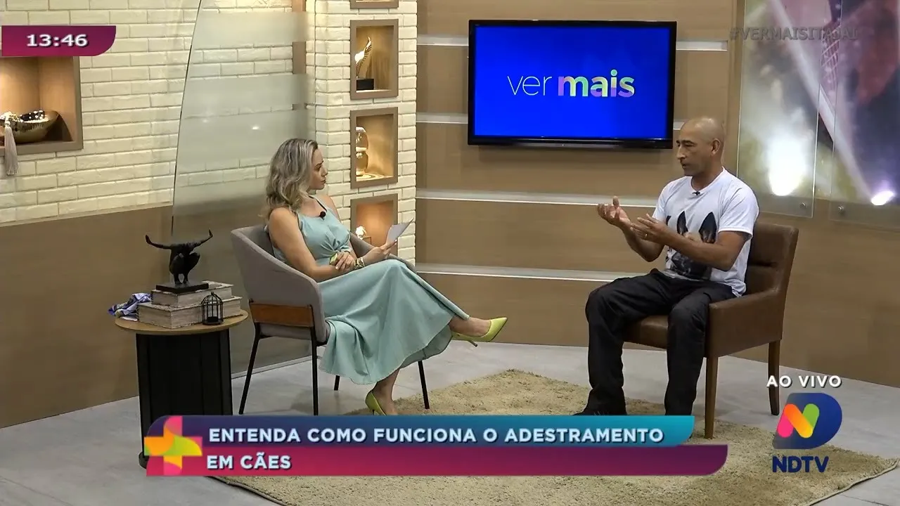 Entenda como funciona o adestramento em cães