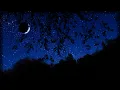 Cricket Conversations on a Breezy Autumn Night Nighttime Ambience 10 Hours Nature Sleep Sounds