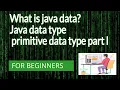 java data type and primitive data type what is data part l Hindi full explain about coding24