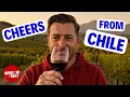 Download Lagu Ultimate Guide to Maipo Valley Winery Tours in Chile