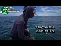 Download Lagu Hidup Nelayan Kepiting  | Amazing Indonesia Sulawesi Tengah