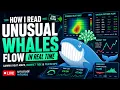 How I Read Unusual Whales Flow in Real Time Gamma Heat Maps Market Tide Periscope