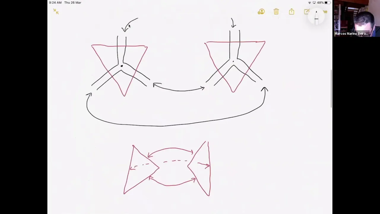 NCCR SwissMAP - Introduction to Topological Field Theory