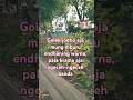 Download Lagu Ndx Piwalis tresno #music #cover #lyrics #nostalgia #song