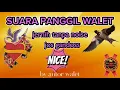 Lagu suara panggil walet jernih tampa noise..