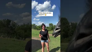 Karen was thrilled to be given this opportunity to demonstrate smh