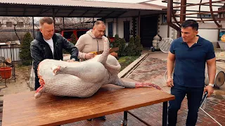 ШЕСТЬ БЛЮД из МЯСА СТРАУСА. ENG SUB
