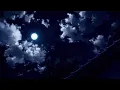 𝐓𝐚𝐦𝐢𝐚 - 𝐂𝐚𝐧´𝐭 𝐆𝐞𝐭 𝐄𝐧𝐨𝐮𝐠𝐡 (𝐒𝐥𝐨𝐰𝐞𝐝 𝐧 𝐑𝐞𝐯𝐞𝐫𝐛)