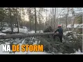 Een omgevallen boom zagen bij onze berghut in Noorwegen (deel 5)