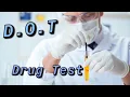 DOT Hair Follicle and Urine Test Details