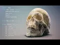 Turning a Blender 2 8 Python Script into an Addon - Beginner Tutorial
