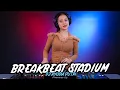 Download Lagu DJ BREAKBEAT STADIUM TERBARU 2023 DJ AYUDIA PUTRI