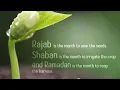 Download Lagu Bulan Rajab, MULAILAH MENANAM | Ustad Mohamad Baajour