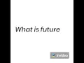 What is future careers bridge program