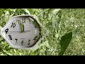 XTC - Grass