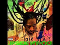 Call Me (feat. Stefflon Don) - Buju Banton
