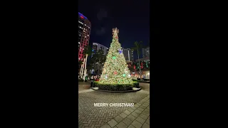 Wrapping up an awesome year!