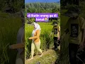 Download Lagu Jangan nonton kalaw ga kuat#gemoy #jandadesa #bodorsundaterbaru #sawah #lucu
