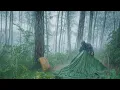 Download Lagu CAMPING HUJAN DERAS ⛈️ bersantai di dalam tenda nyaman saat hujan deras