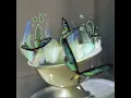 苦茶子