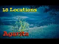 Agarita Locations All Day Cycles Red Dead Redemption 2