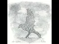Feather