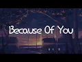 Download Lagu Because of you - 罗云熙 Luo Yunxi『电视剧 良言写意 Lie to Love OST』