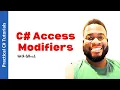 C Access Modifiers Beyond public private - everything you need to know