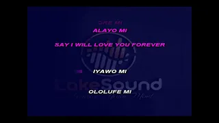 timi dakolo iyawo mi karaoke