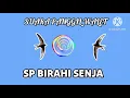 Download Lagu SUARA PANGGIL WALET || SP BIRAHI SENJA