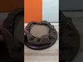 DIY Round Bar Stool Cover