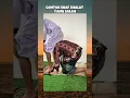 Download Lagu CONTOH SHAF SHOLAT YANG SALAH !!! #ngeshortsdulu #imagen #shorts