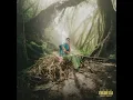La Capi - MYKE TOWERS