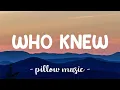 Download Lagu Who Knew - Pink (Lyrics) 🎵