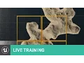 Getting Started with World Composition Live Training Unreal Engine