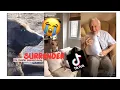 Sad Tik Tok Surrender Video