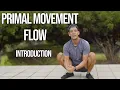 Intro to Primal Movement Flow Bear Crawls Duck Walks Ground-Based Mobility