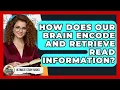 How Does Our Brain Encode And Retrieve Read Information - Ultimate Study Hacks