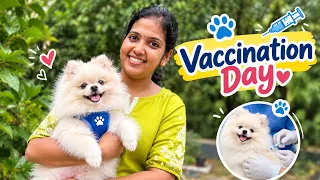 vaccination Day 💉😔വാക്സിനേഷൻ ദിവസം എല്ലാവരും വീട്ടിൽ വന്നപ്പോൾ 🐶#blog #vlog