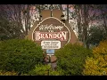 Living in Brandon FL The Ultimate Local Guide Homes com