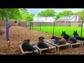 New York Dog Trainer Mix with an Amazing Transformation