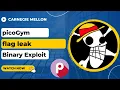picoGym picoCTF Exercise flag leak