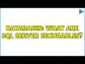Databases What are SQL Server Securables