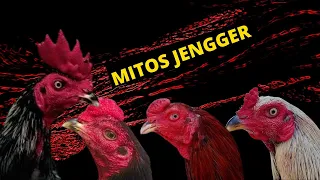 Download MITOS 4 JENGGER AYM YANG BERMENTAL B48JA MP3