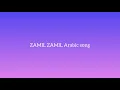 ZAMIL ZAMIL ARABIC SONG (remix)