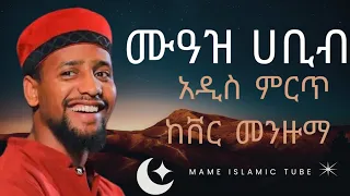 Muaz Habib ሙአዝ ሀቢብ አዲስ ምርጥ ከቨር መንዙማ 2025 