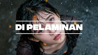 di pelaminan chelsy cover 