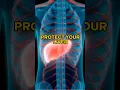 Snacks that PROTECT your LIVER
