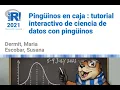 USER2021 Tutorial Pinguinos